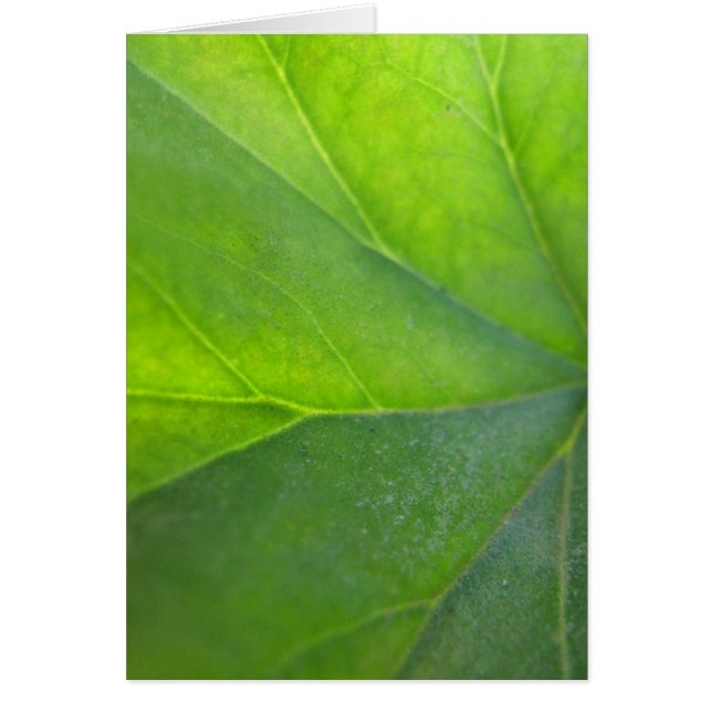 緑の葉カード (正面)