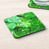 緑の葉ヤシの葉の熱帯の葉ジャングル コースター (左側)