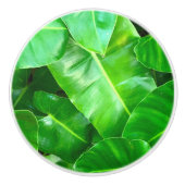 緑の葉ヤシの葉の熱帯の葉ジャングル セラミックノブ (正面)