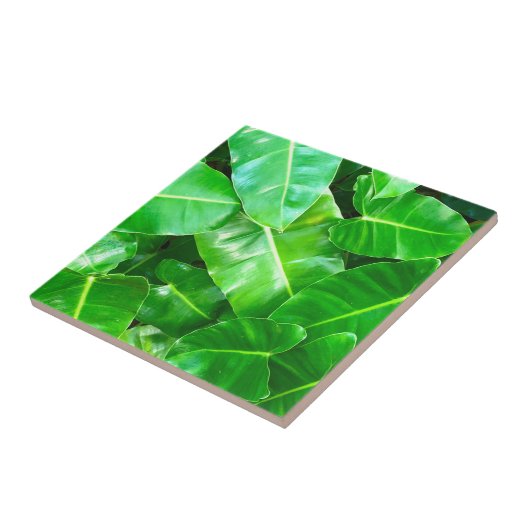 緑の葉ヤシの葉の熱帯の葉ジャングル タイル (側面)