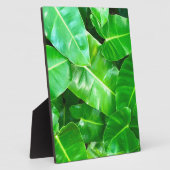 緑の葉ヤシの葉の熱帯の葉ジャングル フォトプラーク (側面)