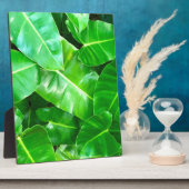 緑の葉ヤシの葉の熱帯の葉ジャングル フォトプラーク (側面)