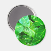 緑の葉ヤシの葉の熱帯の葉ジャングル マグネット (正面/裏面)