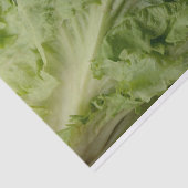 緑の葉レタスのティッシュペーパー 薄葉紙 (詳細)