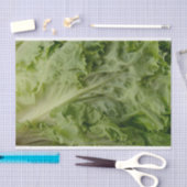 緑の葉レタスのティッシュペーパー 薄葉紙 (クラフト)