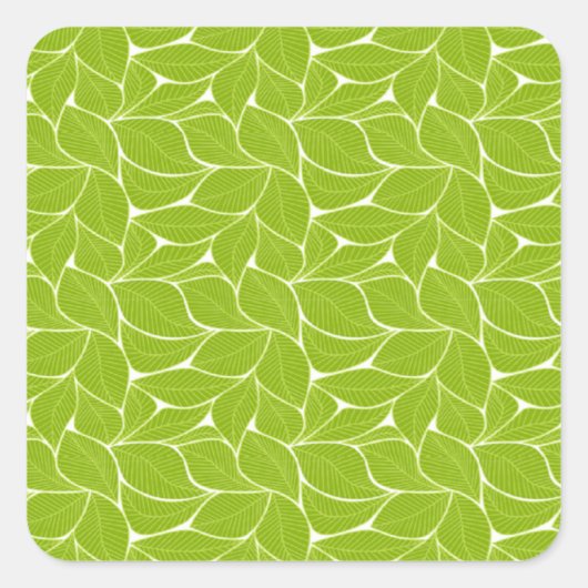 緑の葉模様 スクエアシール (正面)
