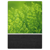 緑の葉背景 クリップボード (裏面)