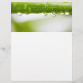 緑の葉背景 チラシ (正面)