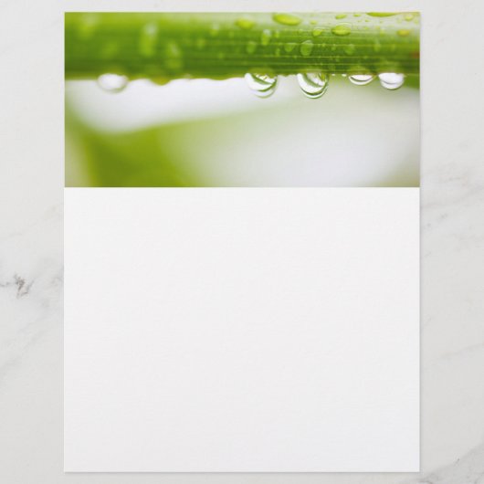 緑の葉背景 チラシ (正面)