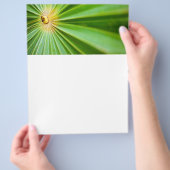 緑の葉背景 チラシ (手)