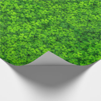 緑の葉色のクローバー（水滴） ラッピングペーパー