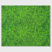 緑の葉色のクローバー（水滴） ラッピングペーパー (フラット)