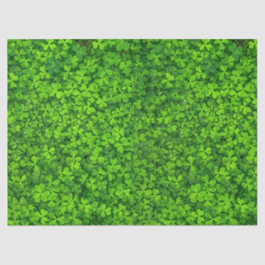 緑の葉色のクローバー（水滴） 薄葉紙 (正面)