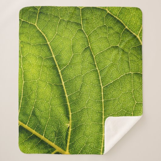緑の葉 シェルパブランケット (正面)