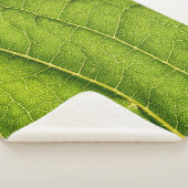 緑の葉 シェルパブランケット (3/4)