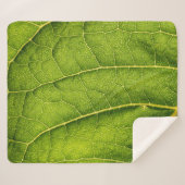 緑の葉 シェルパブランケット (正面(横))
