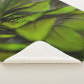 緑の葉 シェルパブランケット (3/4)