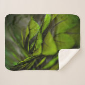 緑の葉 シェルパブランケット (正面(横))