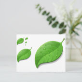緑の葉 ポストカード (スタンド正面)
