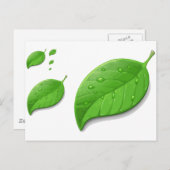 緑の葉 ポストカード (正面/裏面)