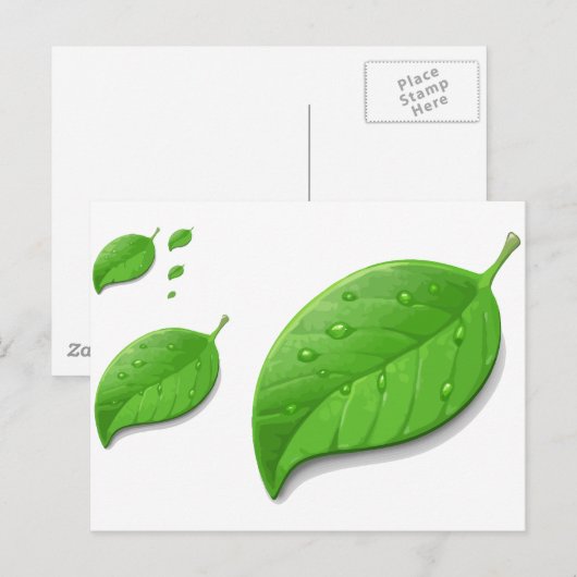 緑の葉 ポストカード (正面/裏面)