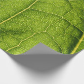 緑の葉 ラッピングペーパー (角)