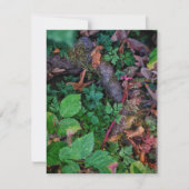 緑の葉 招待状 (正面)