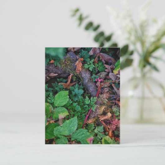 緑の葉 招待状 (スタンド正面)