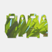 緑の葉、日光と青空 フェイバーボックス (折り畳みなし)