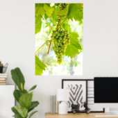 緑の葡萄オンつる植物 ポスター (ホームオフィス)