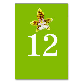 緑の蘭のアート結婚の花のテーブルの番号 テーブルナンバー