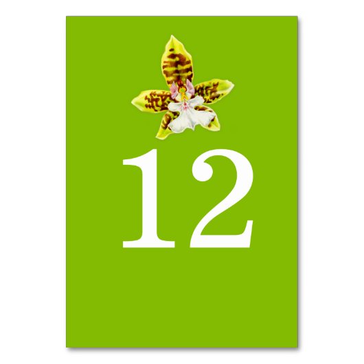 緑の蘭のアート結婚の花のテーブルの番号 テーブルナンバー (正面)