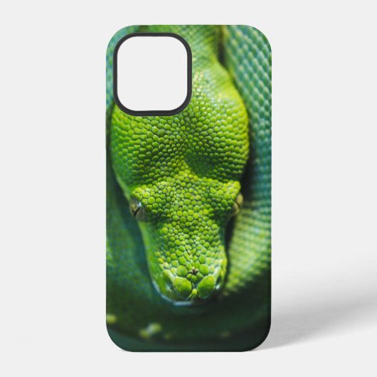 緑の蛇 iPhoneケース (裏面)