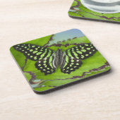 緑の蝶 コースター (左側)