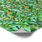 緑の行 – 非表示3Dプリント ポスター (角)