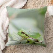 緑の装飾用クッションのヨーロッパのアマガエル クッション (ブランケット)