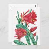 緑の赤いサボテン ポストカード (正面/裏面)