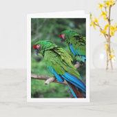 緑の赤と青いインコ カード (黄色い花)