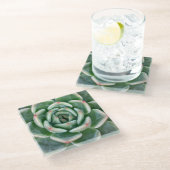 緑の赤によってひっくり返されるSucculent ガラスコースター (アングル)