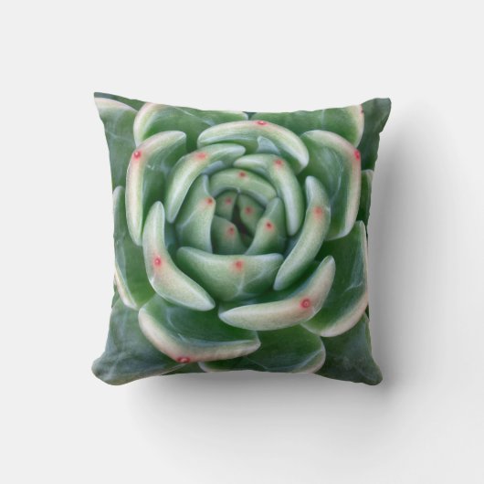 緑の赤によってひっくり返されるSucculent クッション (正面)