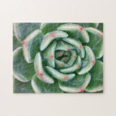 緑の赤によってひっくり返されるSucculent ジグソーパズル (横)