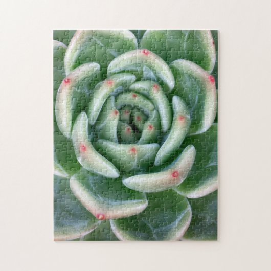 緑の赤によってひっくり返されるSucculent ジグソーパズル (縦)