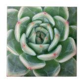 緑の赤によってひっくり返されるSucculent タイル (正面)