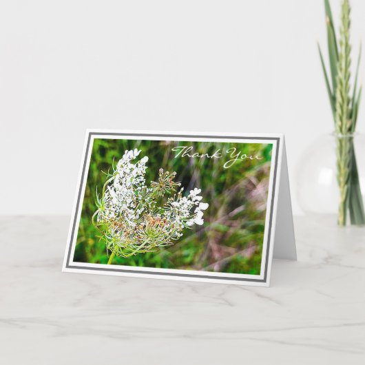 緑の野に咲くアンヌのレースの白い花 カード (正面)