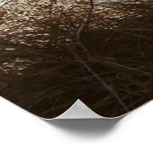 緑の野原に二頭の茶色のライオン ポスター (角)