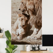 緑の野原に二頭の茶色のライオン ポスター (ホームオフィス)