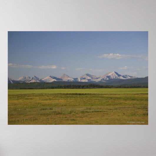 緑の野転が野と山 ポスター (正面)