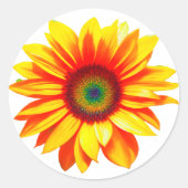 緑の金ゴールドの日当たりの良いヒマワリの花の素朴な太陽 ラウンドシール (正面)