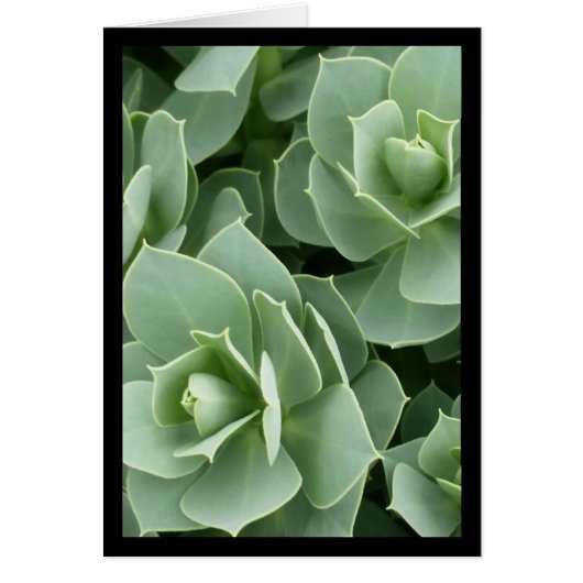 緑の開花 – ソルの歌。4:9グリーティングカード (正面)