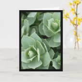 緑の開花 – ソルの歌。8:7グリーティングカード カード (黄色い花)